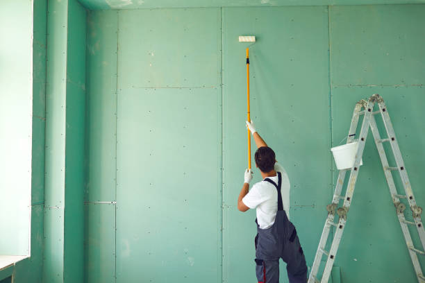 Best Eco-Friendly and Low-VOC Painting  in Albany, CA